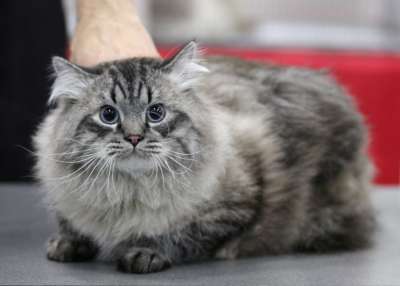 �������� ����� '������� ���-�����' 30 ������-1 ������� 2013., ������������ ��� 3776